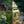 Load image into Gallery viewer, PRE-ORDER Pennsic 50 Lantern