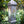 Sunburst square pendant lantern