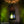 Triple sunburst domed lantern
