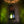 Load image into Gallery viewer, Triple sunburst domed lantern

