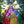 Dragon Egg Lantern - Rainbow