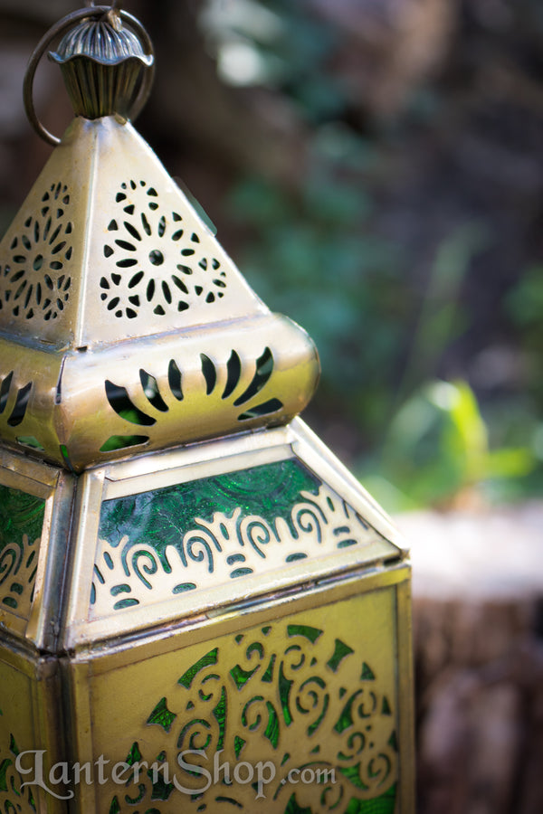 Tree of life lantern - Medium