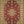 Rug Oriental Floral